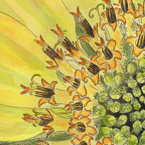 detail of balsamroot painting by Vorobik